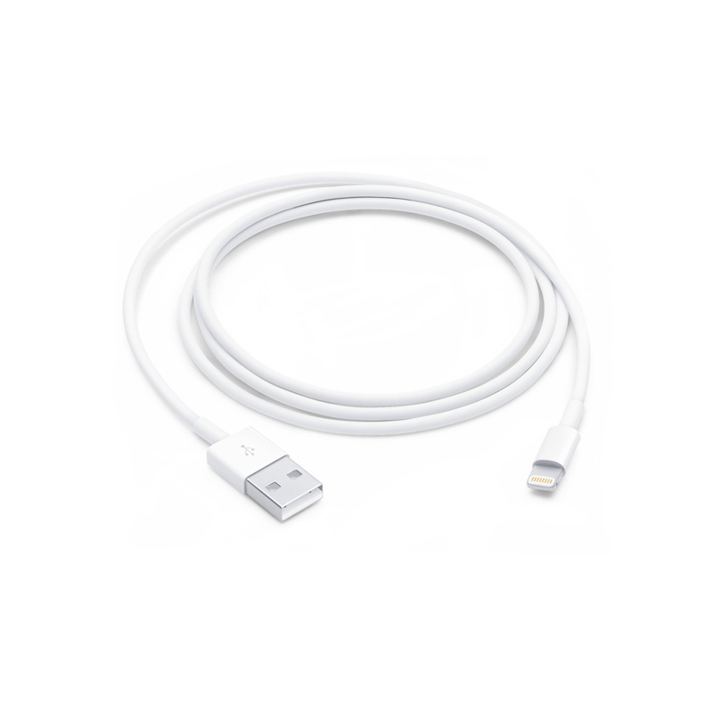 LIGHTNING TO USB CABLE (1 M) 